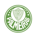 Palmeiras Football Club